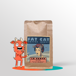 Fat Cat Coffee House - Lavado - Gesha