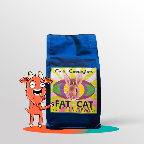 Fat Cat Coffee House - Natural - Blend
