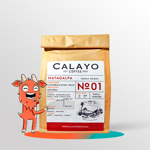 Calayo Origins - Natural - Blend